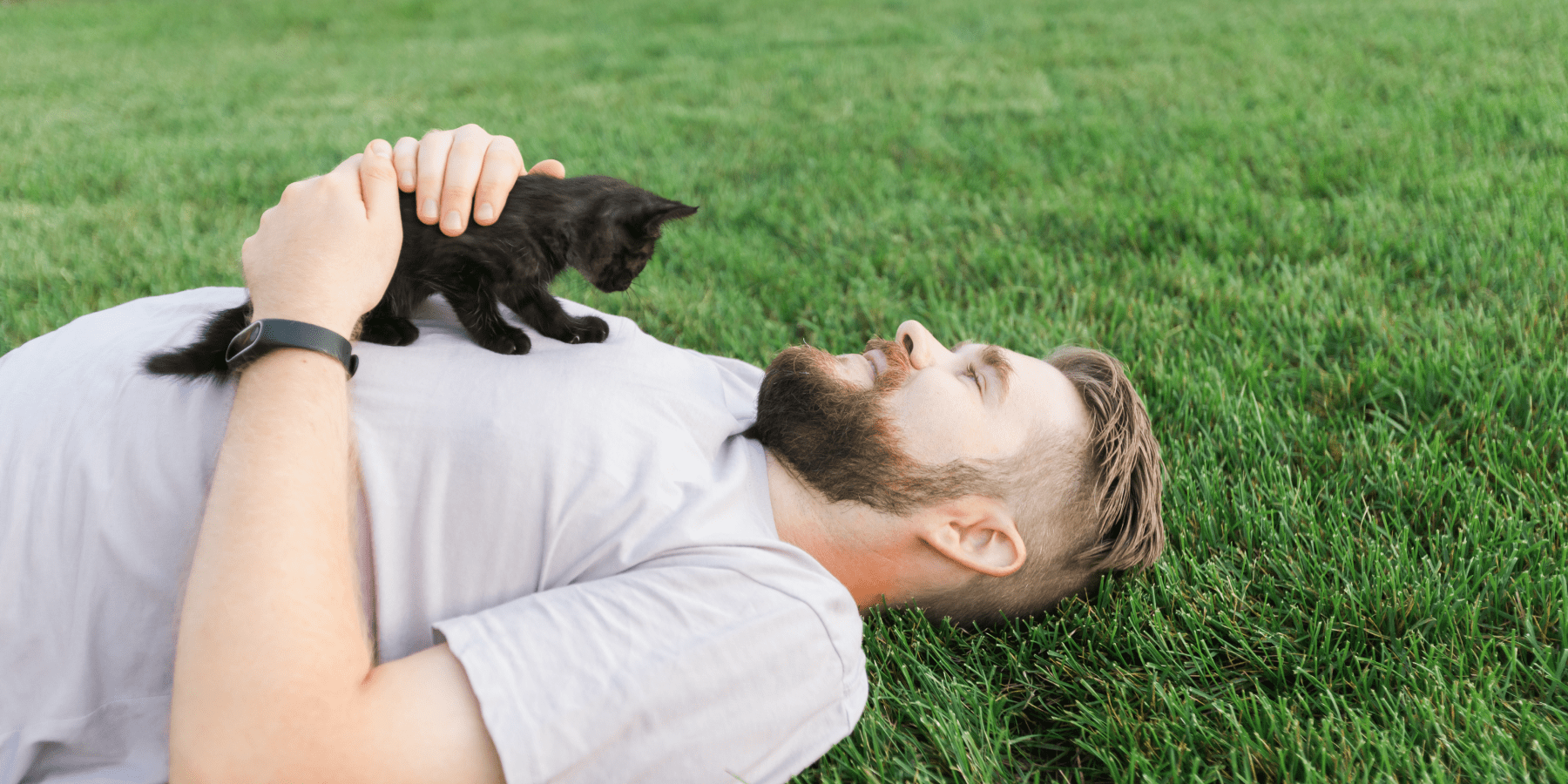 What to Expect when getting a pet