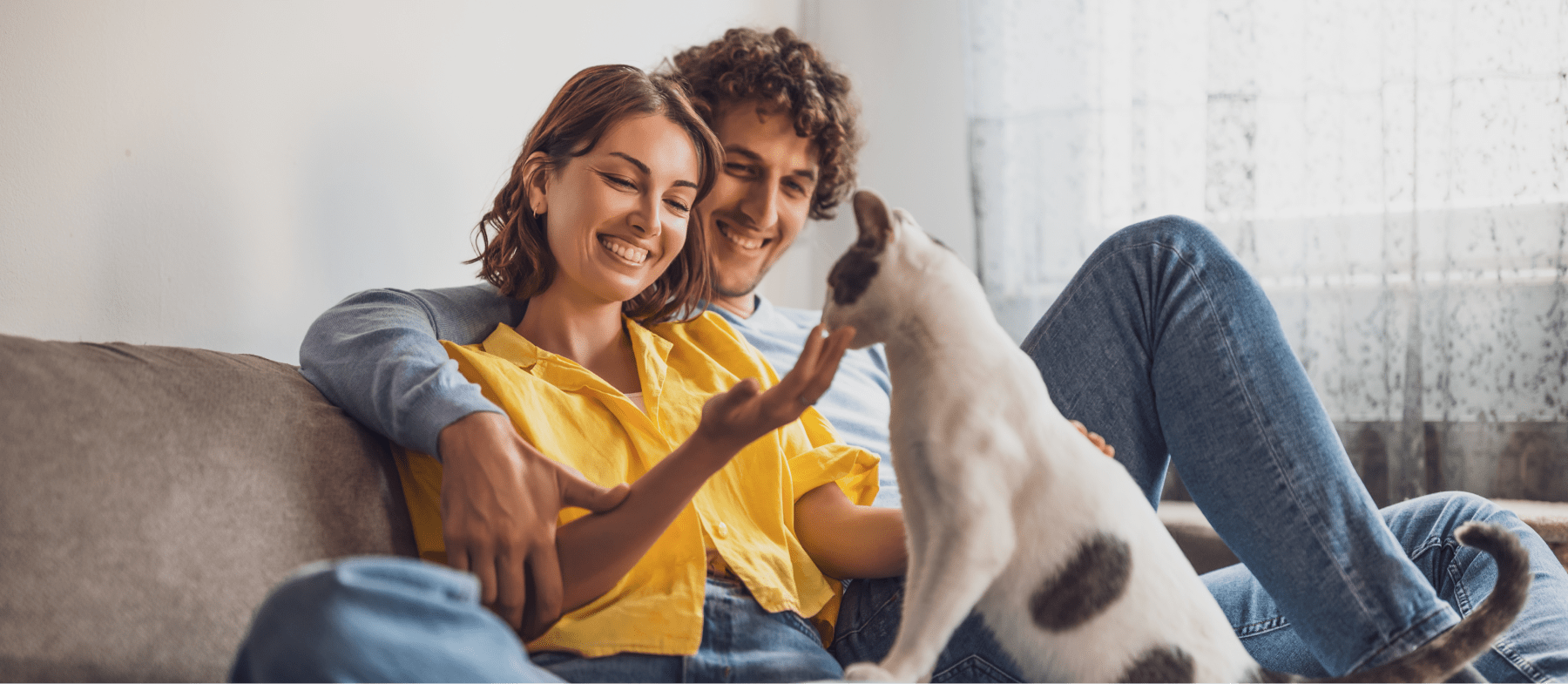 Veterinarian Pet Parent relationship. Husband wife with cat.
