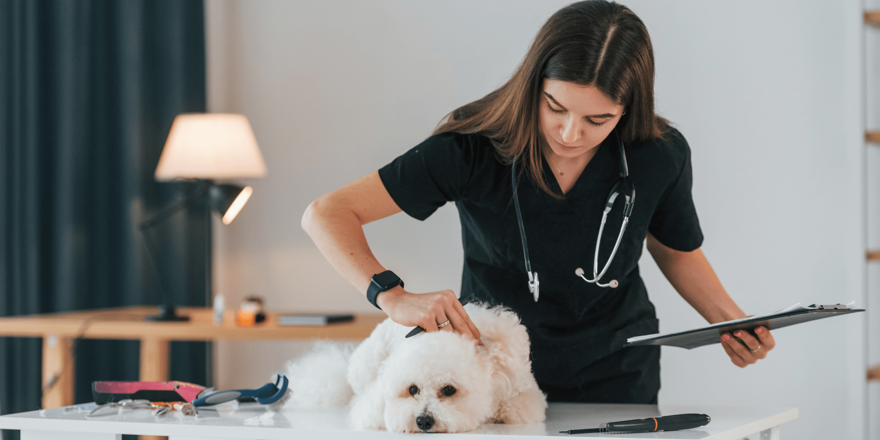 How to find a good veterinarian