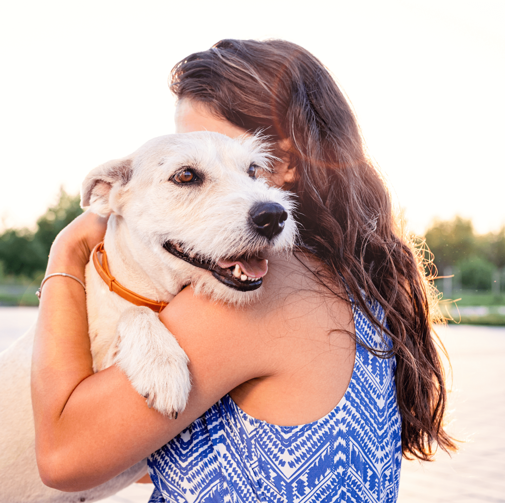 KnowVet Pet Resources-min KnowVet Pet Resources